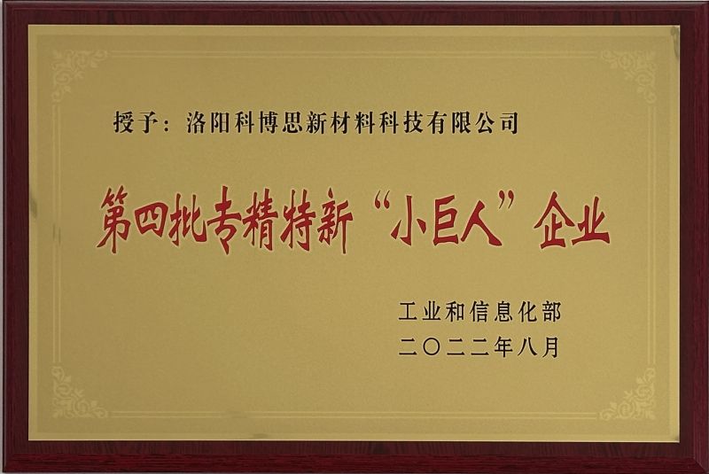 專精特新“小巨人”